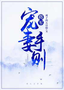 将军宠妻手则